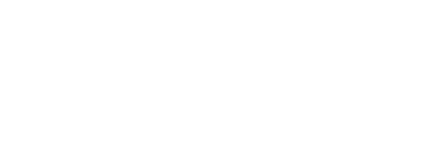 Lender partner