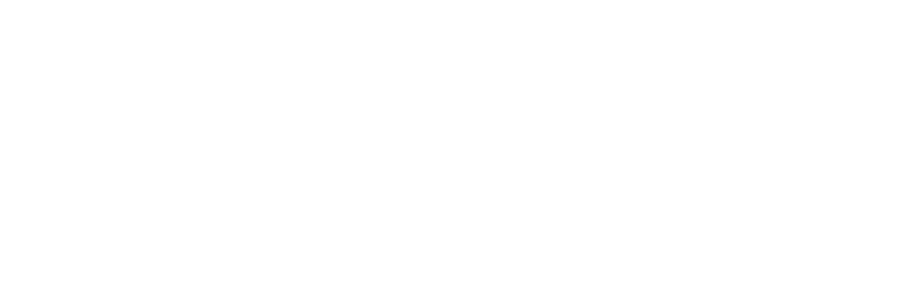 Lender partner