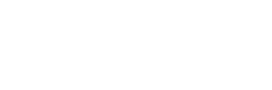 Lender partner