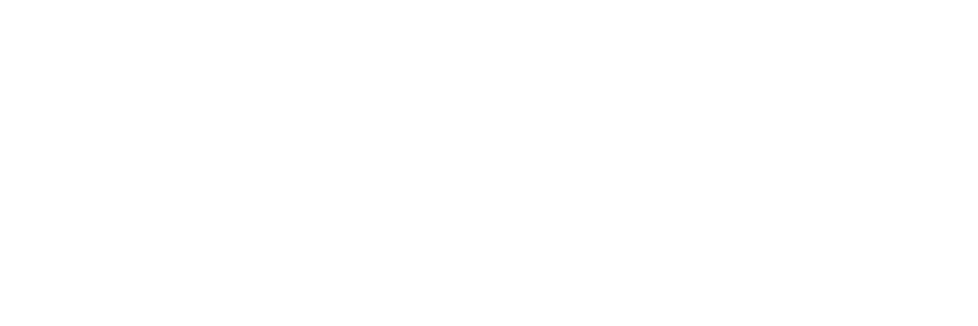 Lender partner