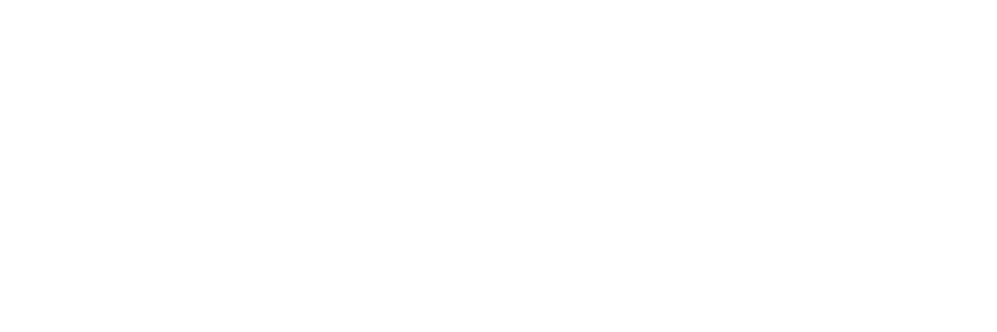 Lender partner