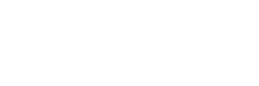Lender partner