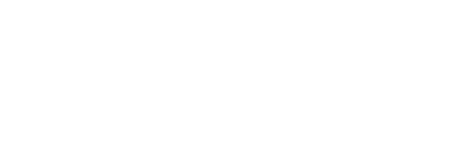 Lender partner
