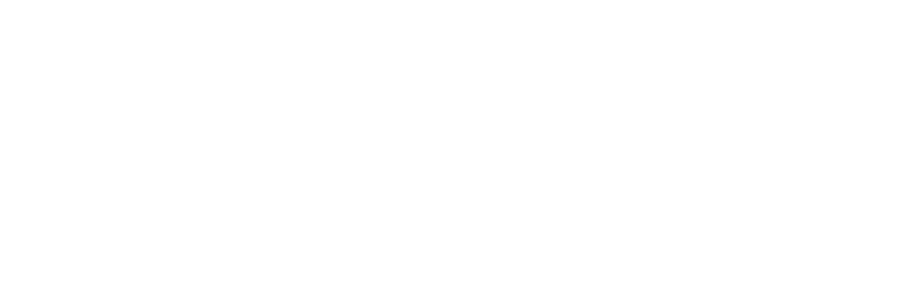 Lender partner