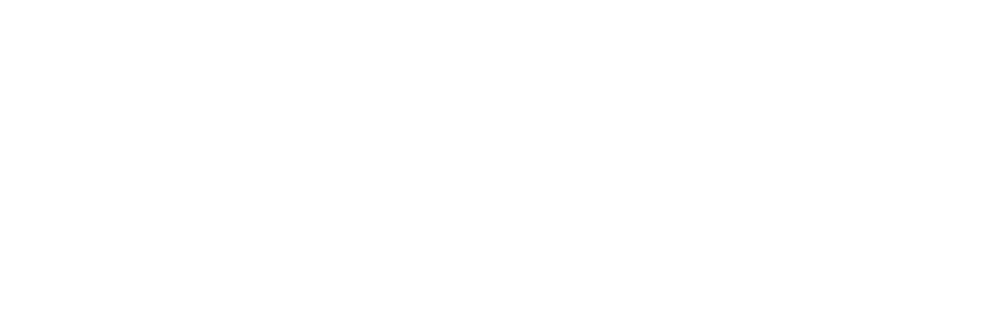 Lender partner