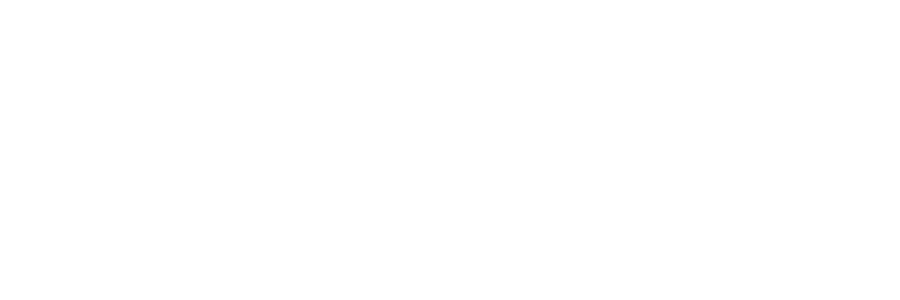 Lender partner
