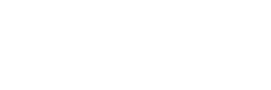 Lender partner