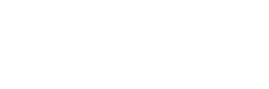 Lender partner